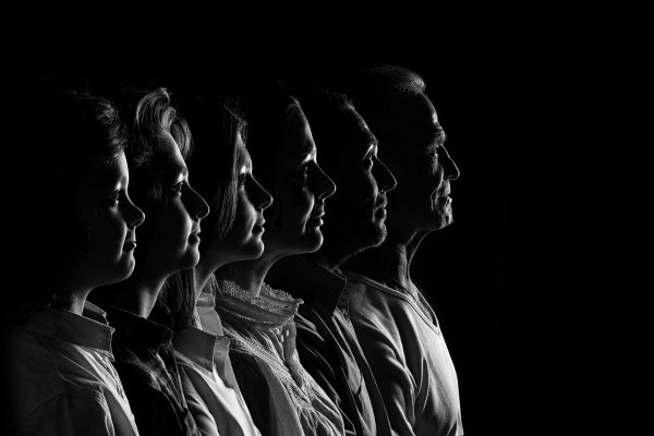 montage-profils-6p800